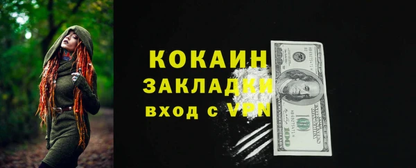 хмурый Дмитриев