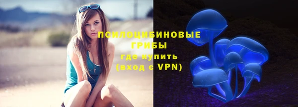 гидропоника Бабаево