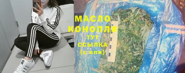 хмурый Дмитриев