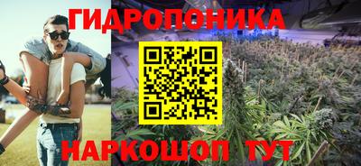 соль ск Будённовск