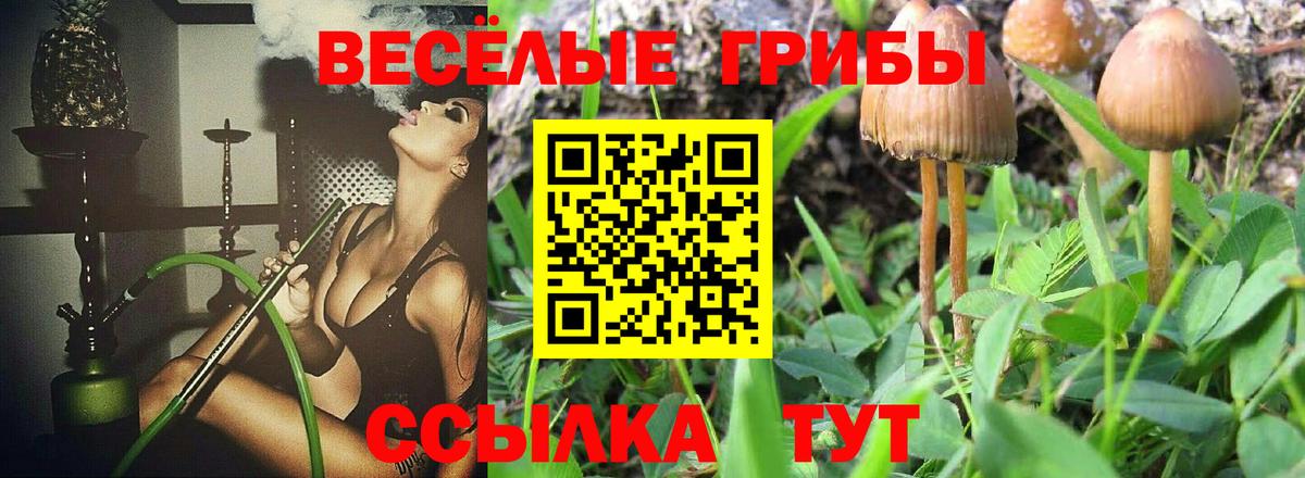 Псилоцибиновые грибы MAGIC MUSHROOMS Звенигород