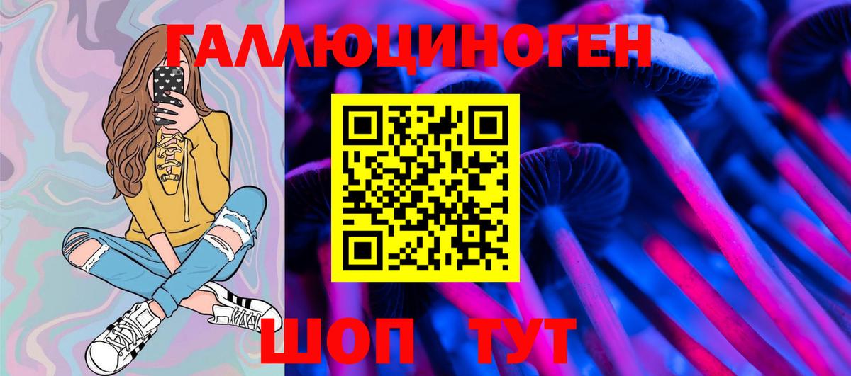 Псилоцибиновые грибы прущие грибы  Звенигород 